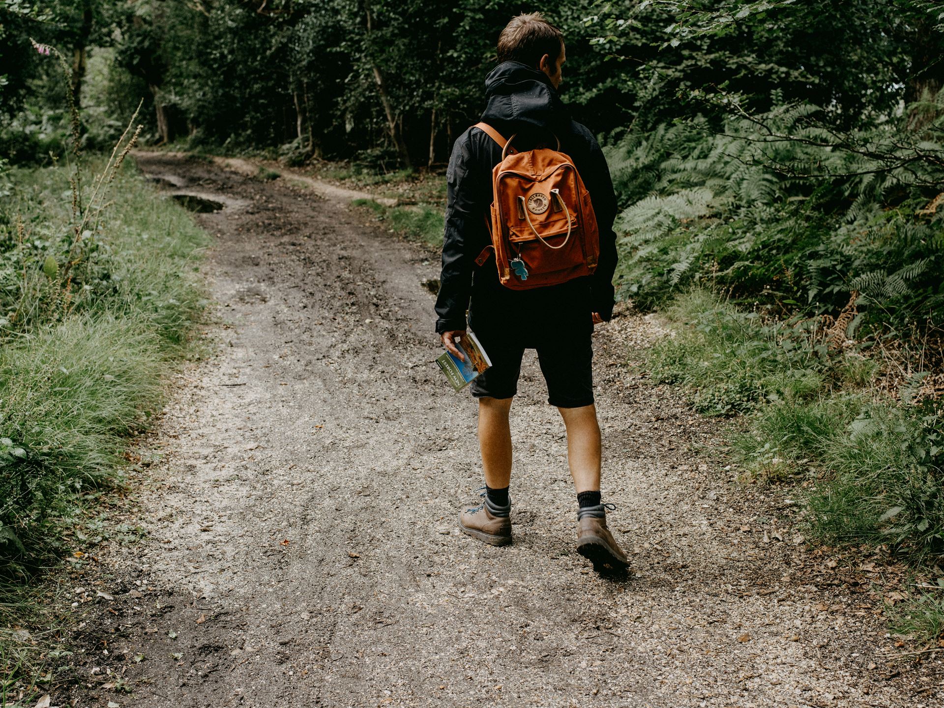 Walking through woods